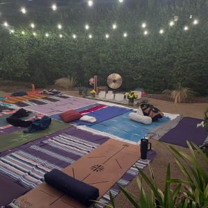 Monthly Membership - Weekly Online and Recorded Classes Only